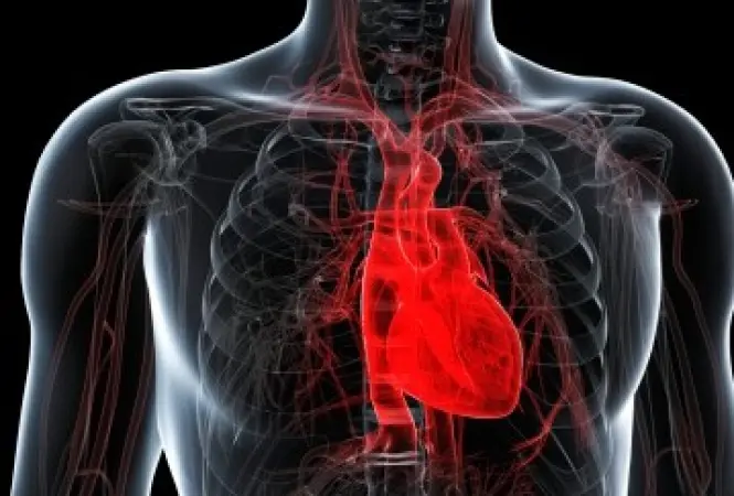 KI verbessert individuelle Herzinfarktbehandlung von Krebspatienten