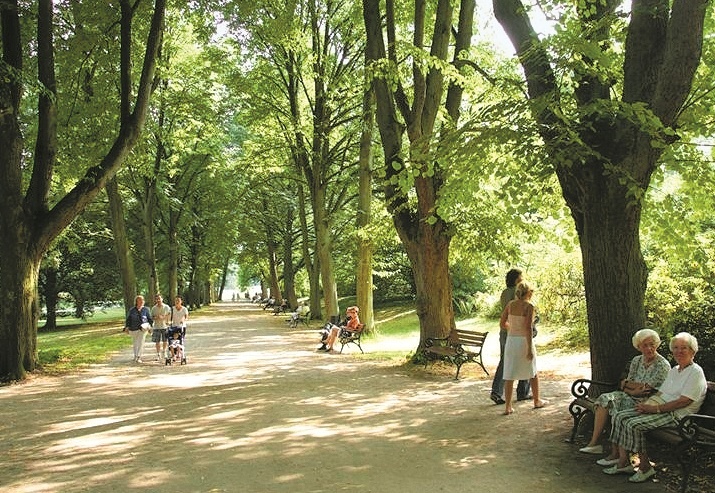 Rombergpark Dortmund: Ausschreibung für Gesundheitsstandort gestartet. (Fotos:...