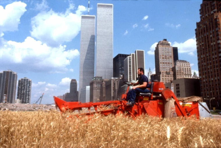 Agnes Denes, Wheatfield – A Confrontation, Battery Park, Landhill Manhatten,...