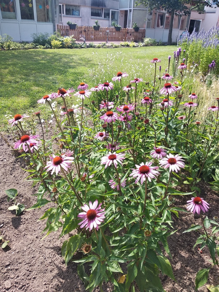 © Fotos Anne Brandt