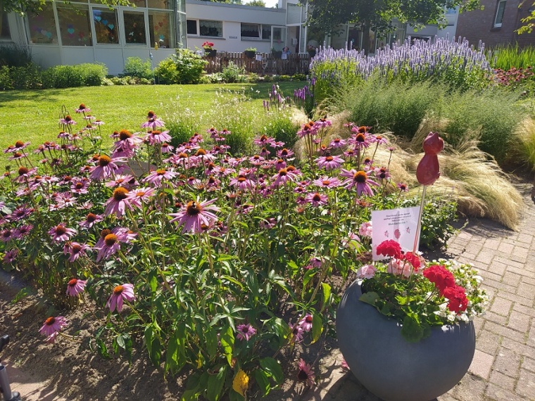 © Fotos Anne Brandt