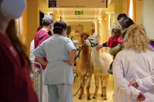 Foto: GLG Gesellschaft für Leben und Gesundheit mbH