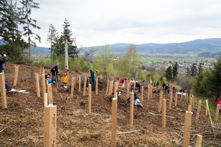Nachhaltige Vielfalt: Statt einer Monokultur wird auf dieser brachliegenden...