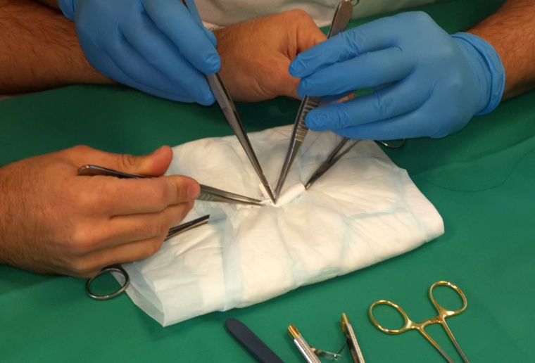 Auch die Seit-zu-End-Anastomose, die Verbindung zweier Blutgefäße, wurde im...