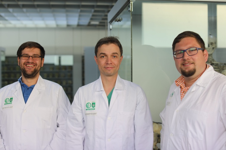 Dr. Mario Lorenz, Prof. Niels Hammer und Dr. Dirk Zajonz. Foto: Christine Hammer