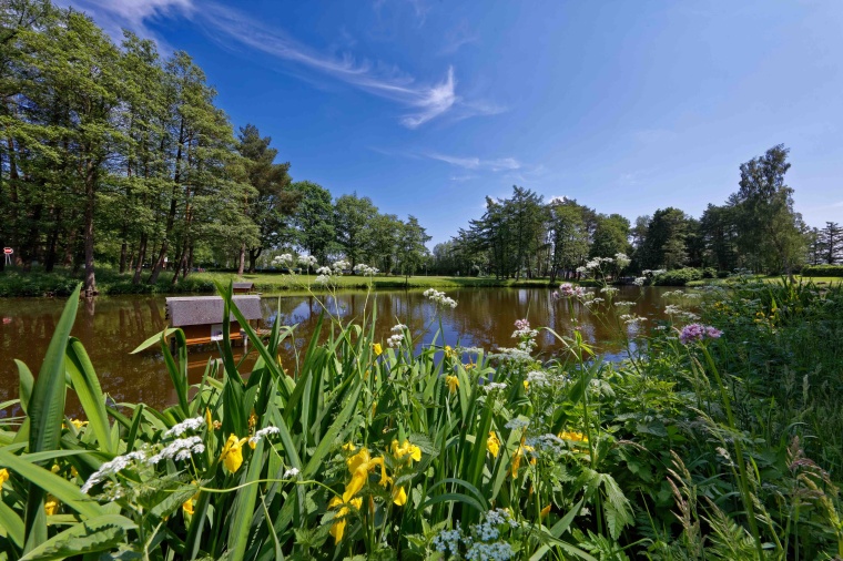 Gelände der Heinrich Sengelmann Kliniken Foto: HSK
