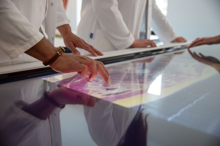 Studierende am digitalen Anatomieboard Foto: MSH Medical School Hamburg –...