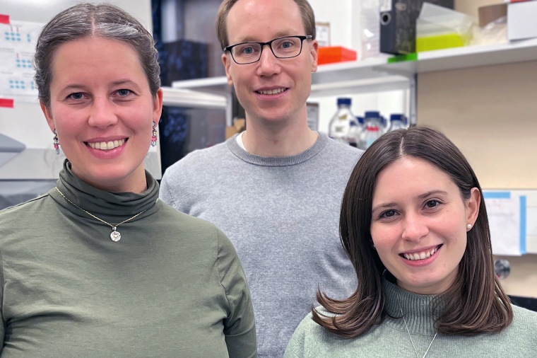 An der Studie waren an der Kieler Universität und am Max-Planck-Institut für...