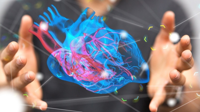 Mit ihrer Arbeit leisten die Leipziger Forscher zur 3D-Herz-MRT-Diagnostik bei...