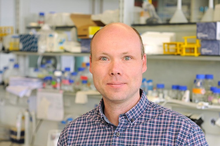 Prof. Dr. Elmar Wolf, Leiter der Forschungsgruppe Tumorbiochemie am...