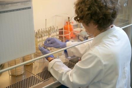 Sigrid Lempert, die Leitende MTA, beim Arbeiten in einem der kürzlich nach...