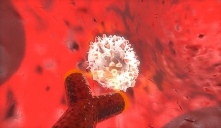 Antikörper-RNA Komplexe hemmen Wachstum von Krebszellen