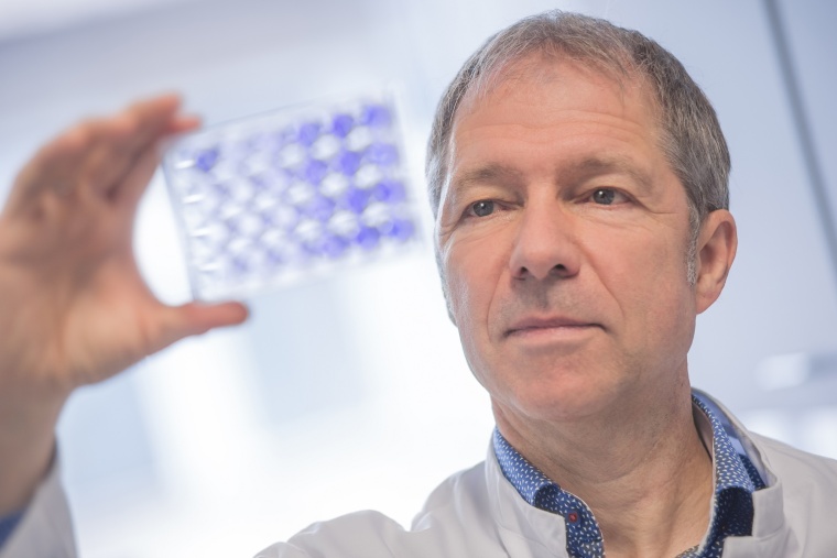 Professor Dr. Bartenschlager, Leitender Direktor der Abteilung für Molekulare...