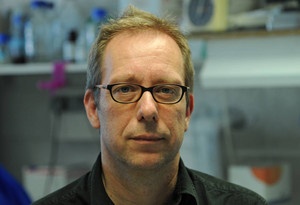 Prof. Andreas Diefenbach