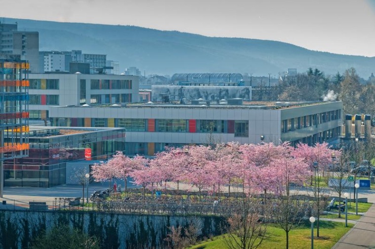 Blick auf die Universitäts-Frauenklinik. Das Brustzentrum an der Klinik...