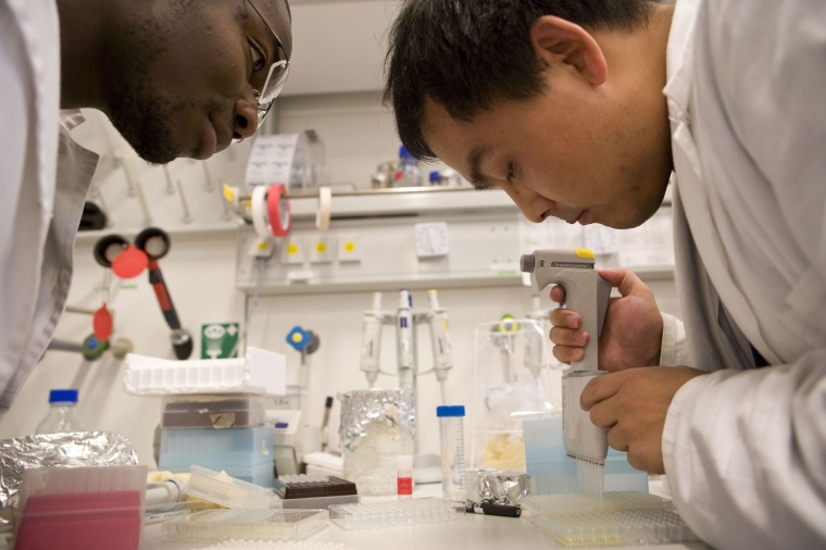 Studierende der Jacobs University Bremen erhalten die Möglichkeit, an...