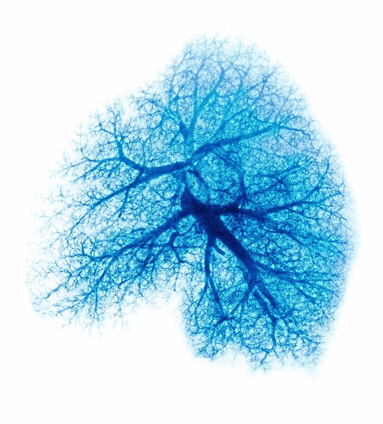 Wiley: Science Photo Library RF/Getty Images 478186513