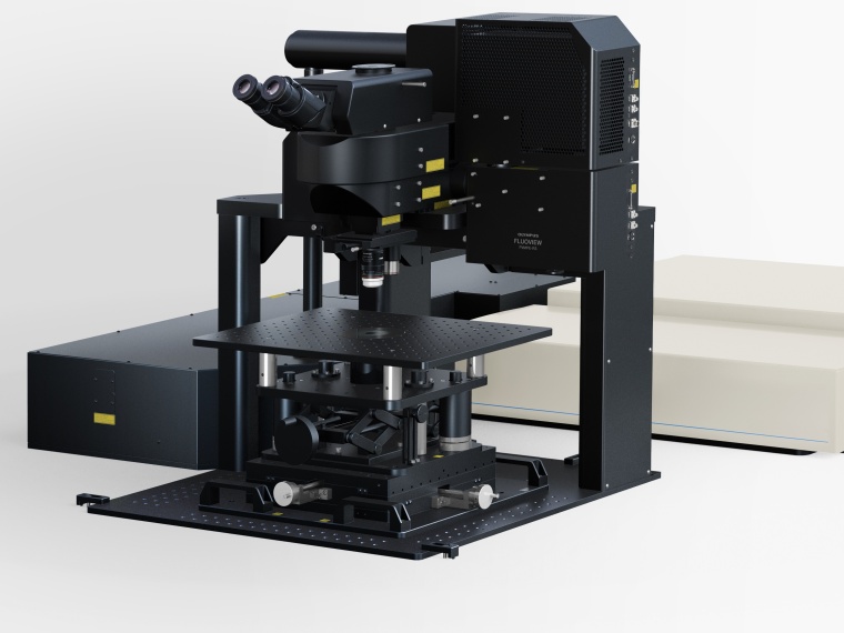 FluoView FVMPE-RS-Multiphotonen-Laser-Scanning-Mikroskop von Olympus.