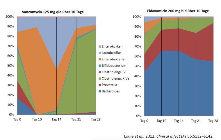 Vergleich der Bakterienvielfalt im Darm unter Vancomycin und Fidaxomicin.