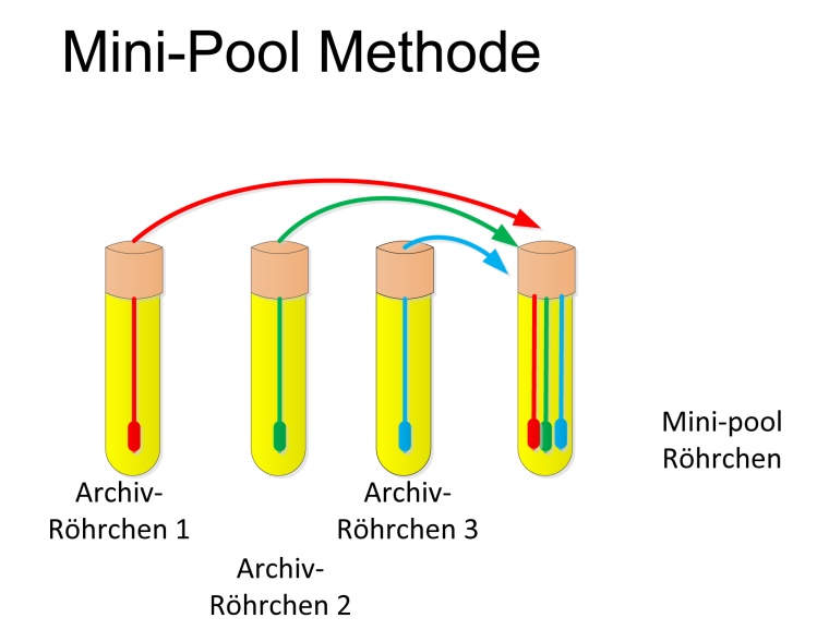 Mini-Pool-Methode Foto: Michael Schmidt, DRK Blutspendedienst Institut Frankfurt