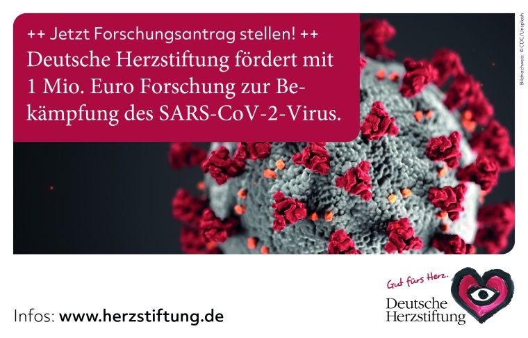 Die Deutsche Herzstiftung stellt 1 Million Euro für die Forschung zur...