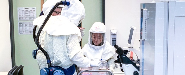 Arbeiten im Labor der biologischen Sicherheitsstufe 3 am HZI. Foto: HZI / Talay