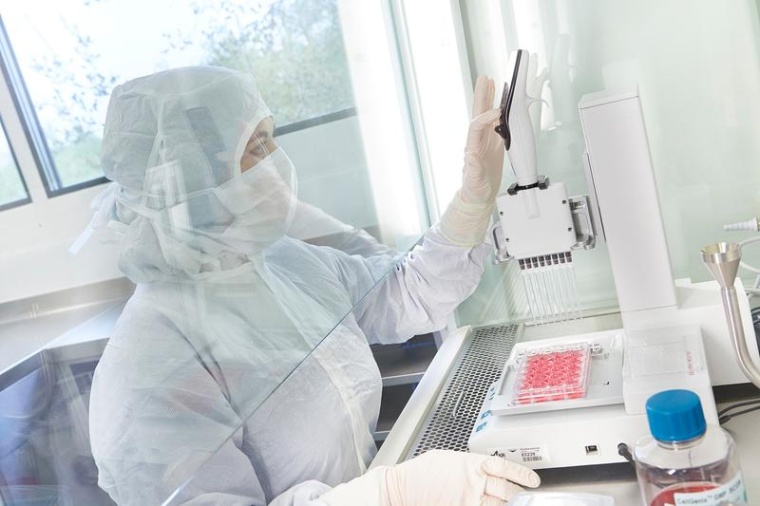 Schwerpunkte des neuen Nationalen Zentrums für Tumorerkrankungen liegen in der...