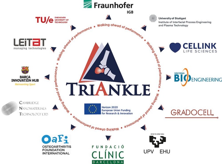 Die Kooperationspartner des Triankle-Projektes. Foto: Fraunhofer IGB