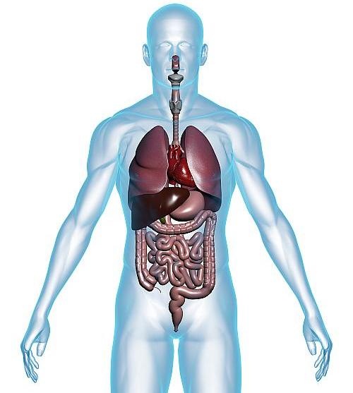 Foto: Getty Images 172750026