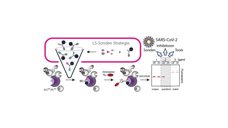 Die unter der Leitung von Thomas Böttcher entwickelte Methode basiert auf...