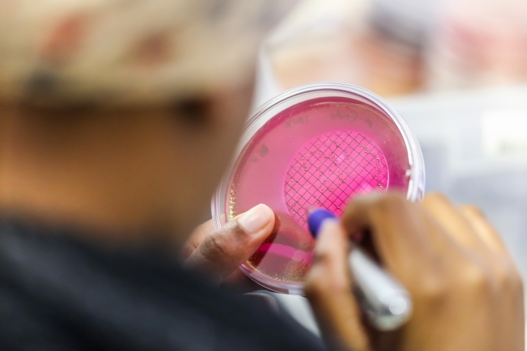 Persistente Bakterien verursachen wiederkehrende, schwierig behandelbare...