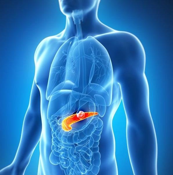 Foto: Shutterstock 513094789