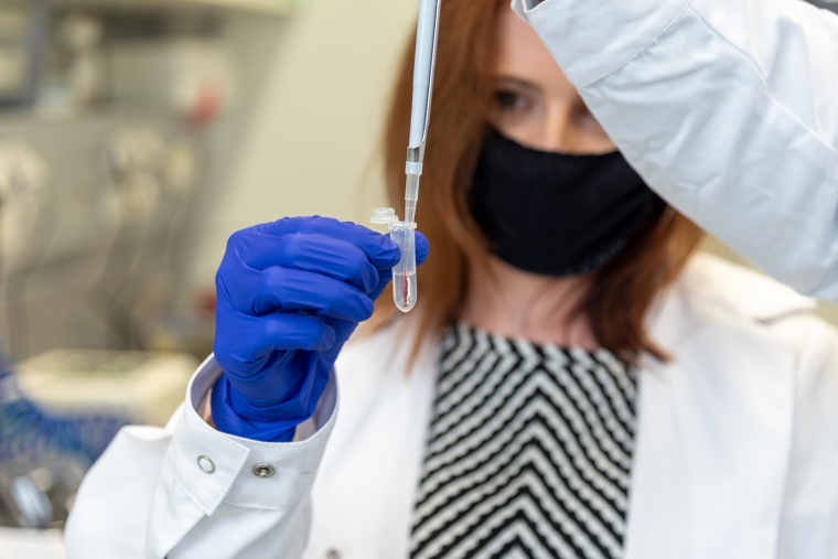 Verdünnen einer Blutprobe. Foto: Max-Planck-Institut für die Physik des...