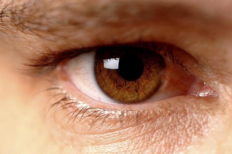 Foto: Getty Images 111927434