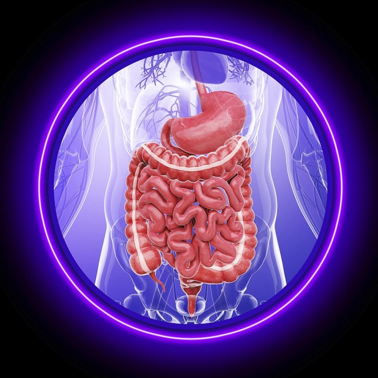 Foto: Getty Images 478188297