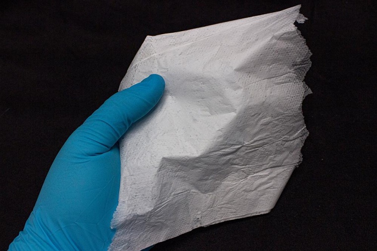 Elektrogesponnenes Vlies aus biotechnologisch hergestelltem Tropoelastin. Foto:...