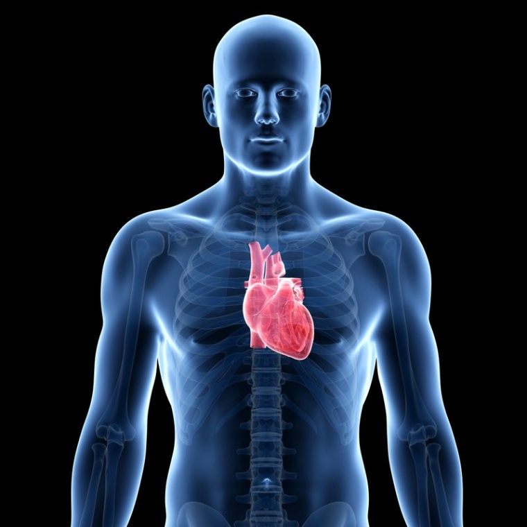 Foto: Wiley Shutterstock