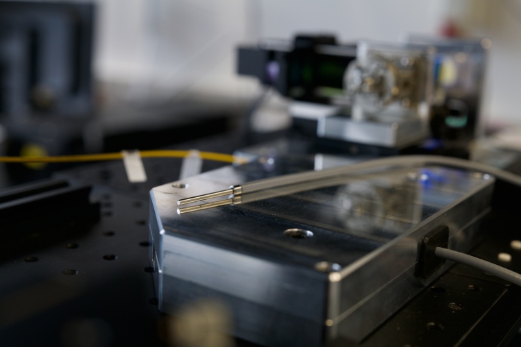 Flexible Fasersonde für minimalinvasive Untersuchungen. Foto: Leibniz-IPHT,...