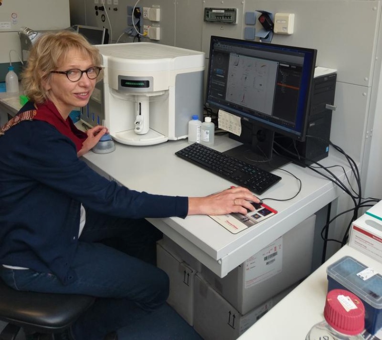 Die Biologin Magdalena Huber von der Philipps-Universität analysierte...