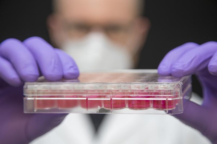 Victor Badillo Lisakowski züchtete aus menschlichen Stammzellen...