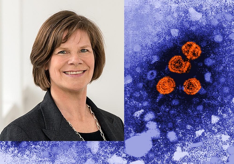 Prof. Ulrike Protzer. Foto: TUM/Astrid Eckert/Hintergrund: cdc