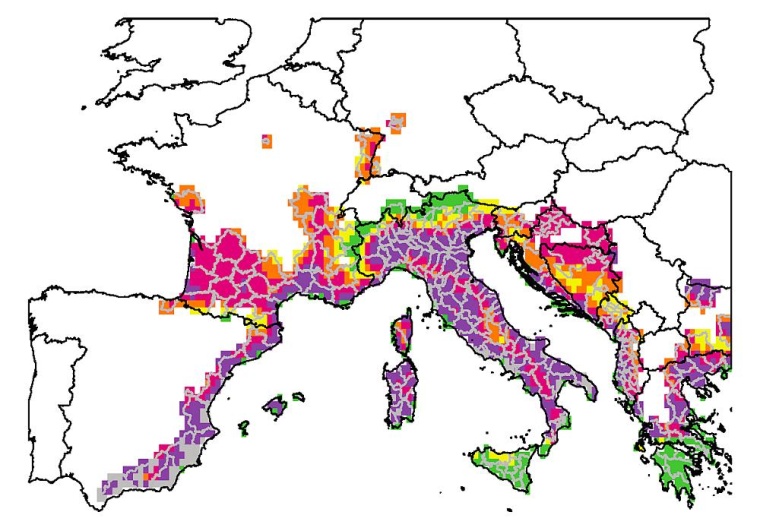 Risikokarte für das Chikungunya-Virus in Europa. Grafik: BNITM / Renke Lühken