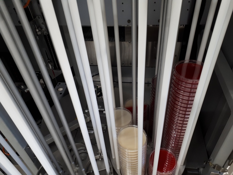 Automatisierung in der Mikrobiologie: In diesen Plattensilos werden die...