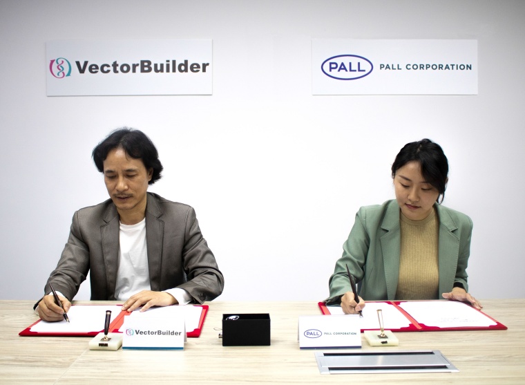 Foto: VectorBuilder-Pall-Partnerschaft