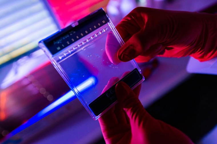 DNA-Analysen im Labor. © Max-Planck-Institut für evolutionäre Anthropologie