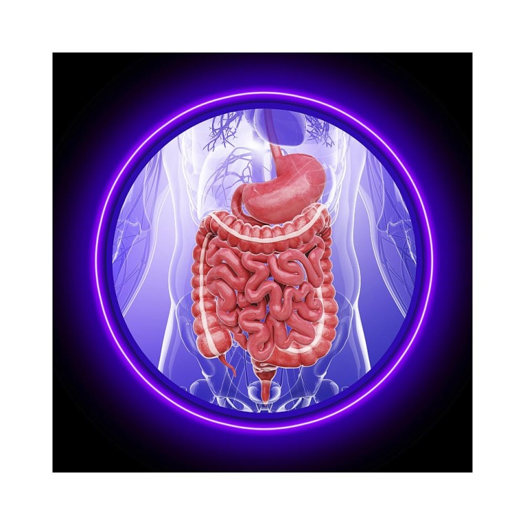 Foto: Getty Images 478188297