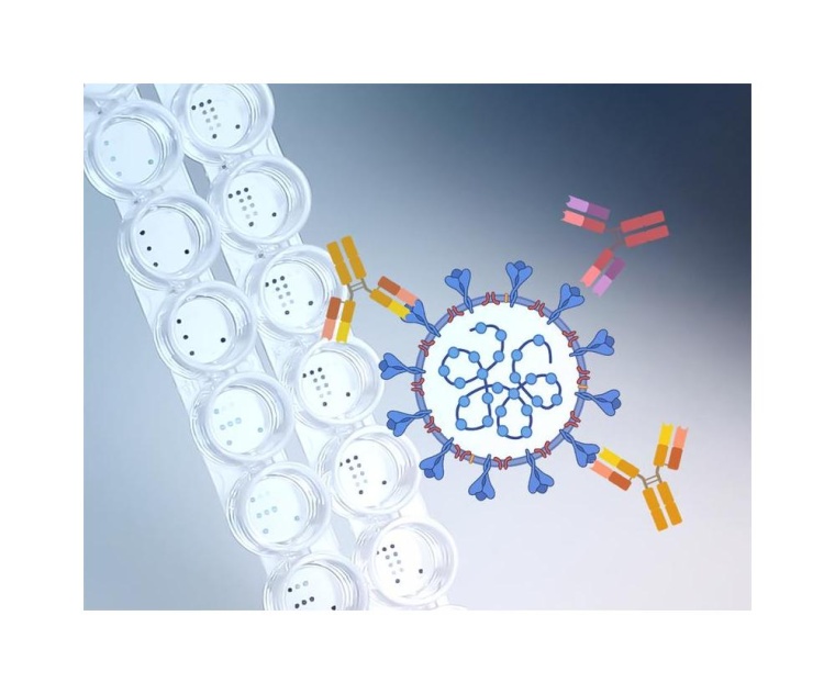 Mit einem Microarray (links) können Infectognostics-Forscher gleichzeitig...