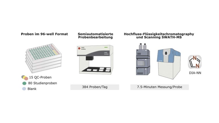 Workflow der Hochdurchsatz-Proteomik: Die Proben werden in 96-well...
