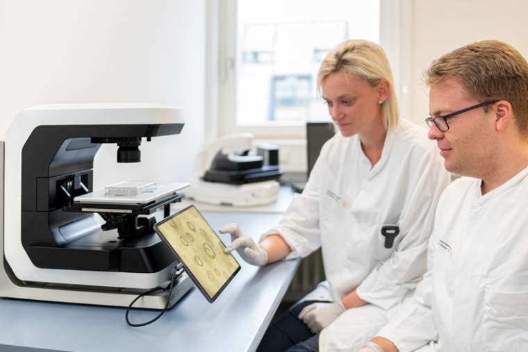 Forschende analysieren die Struktur eines Organoids unter einem Licht- und...