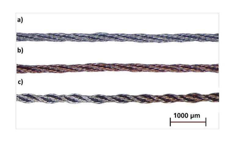 Einzel- (a,b) und Doppelbeschichtung (c) mit unterschiedlichen Biopolymeren auf...